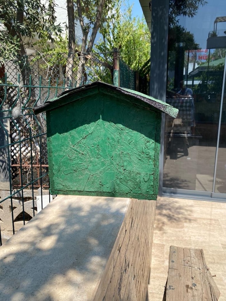 kedi evi - 2