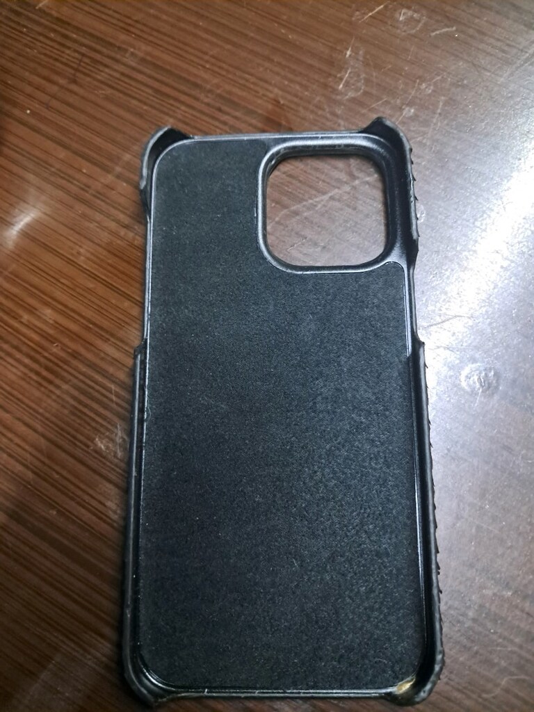 iPhone 16 Yılan Derisi kılıf - 2