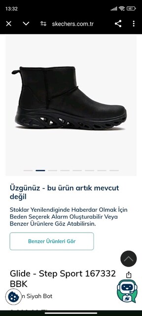 skechers bot