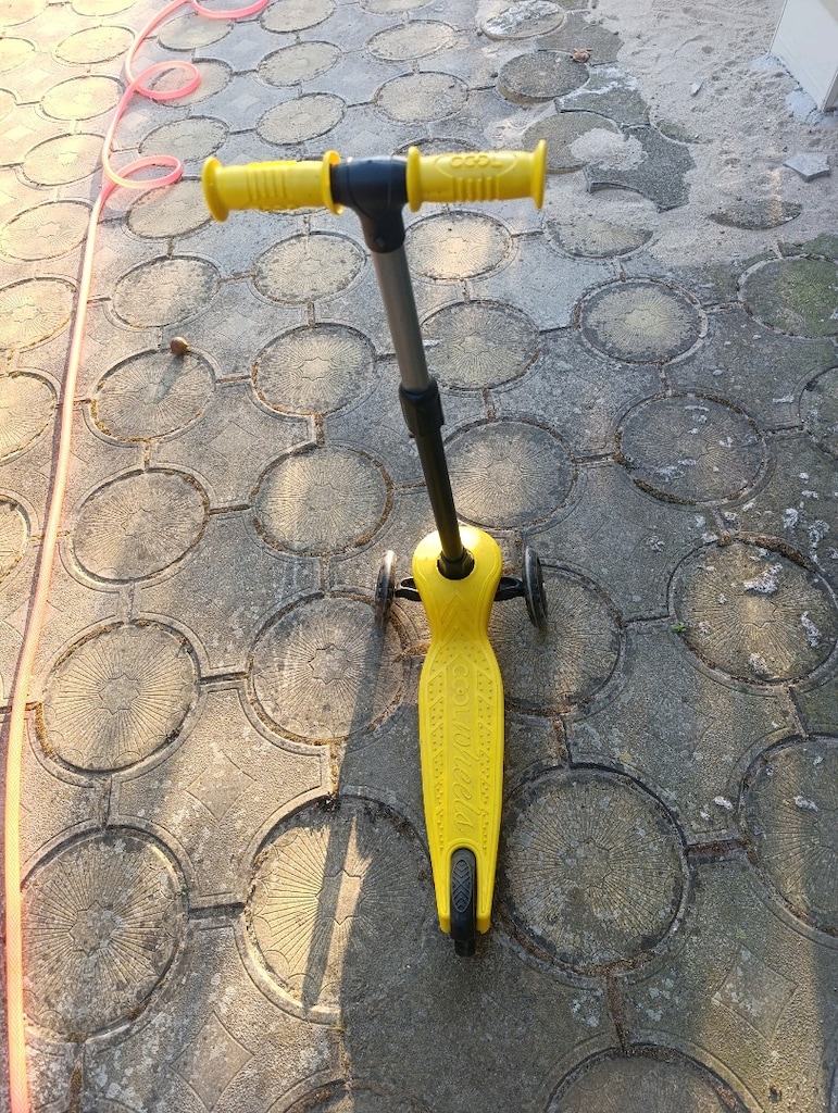 Scoter - 2