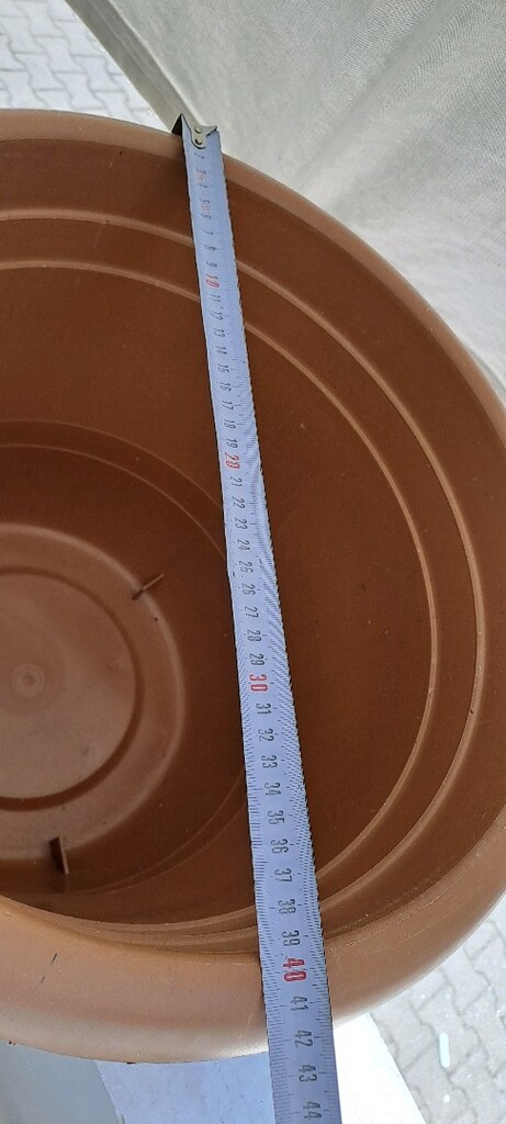Büyük boy plastik saksı Adet 100tl - 6