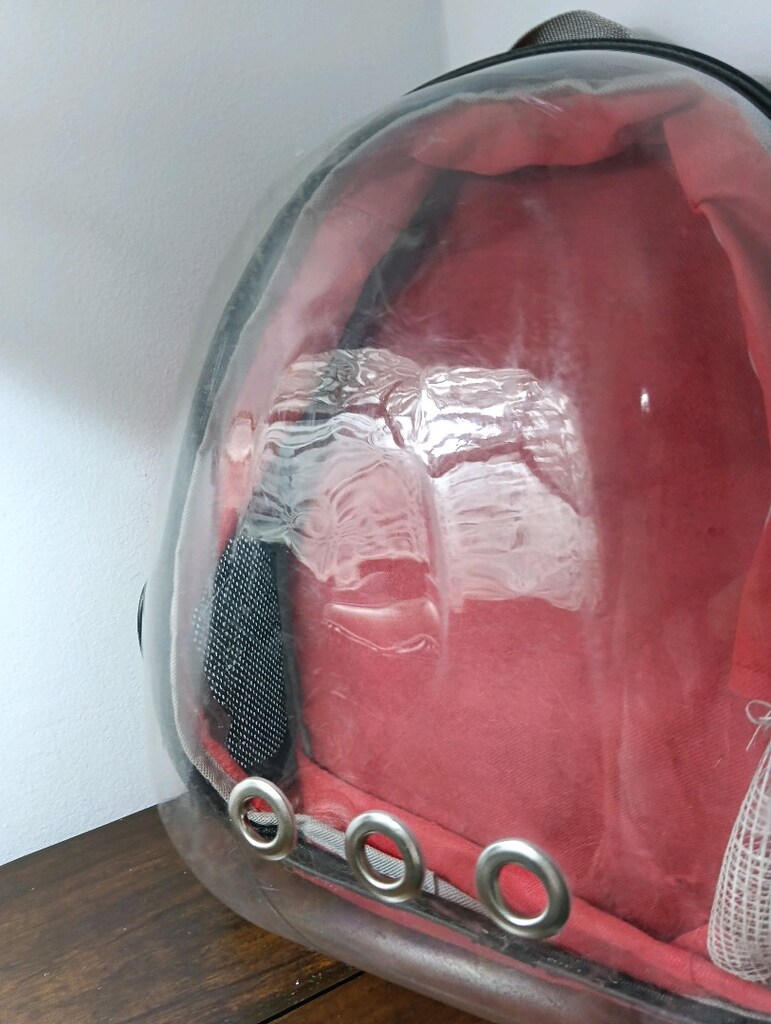 0 yeni kedi.çantası. sadexe 1 kez kullandık kedimize - 4