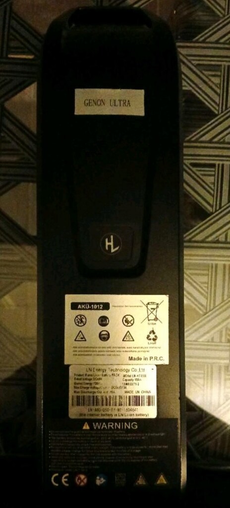 BU FİYATA YOK APE RAYDER GENON 750 WATTIR 50 hız 50 menzil - 6