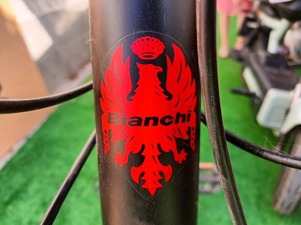 Bianchi 28" Jant & 27 Vites Yol Bisikleti - 12