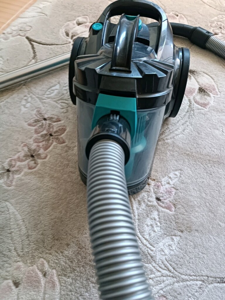 yeni gini Bernardo süpürge - 4