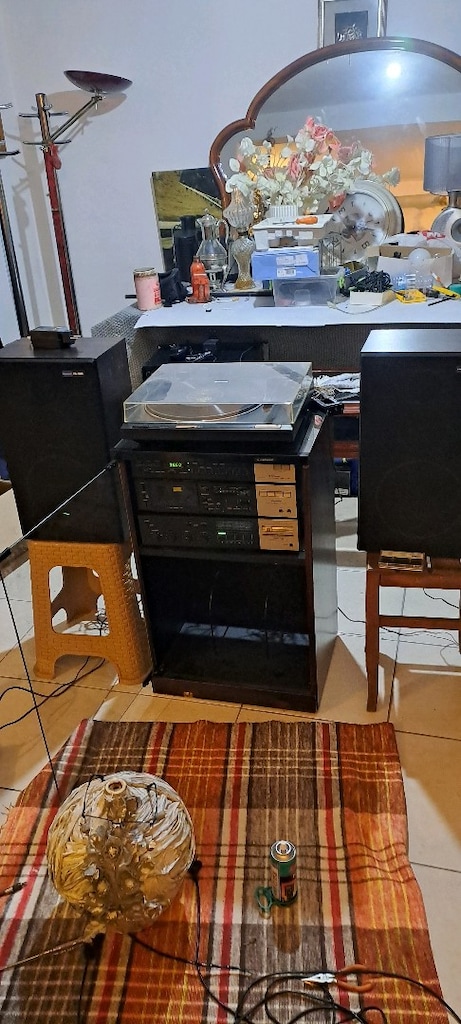 pıoneer plak çalar - 6