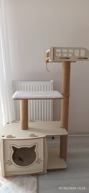 kedi taşıma çantası ve ahşap kedi evi