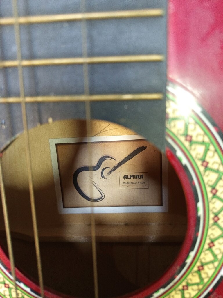 tertemiz sağlam gitar - 4