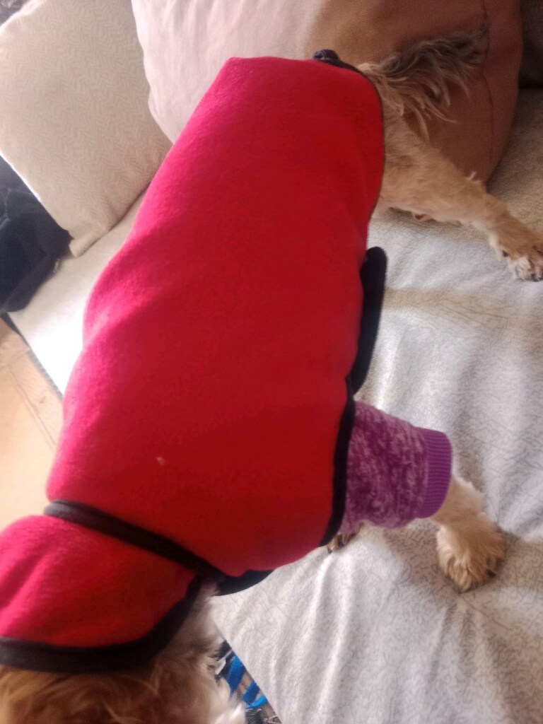 S beden köpek giysisi - 6