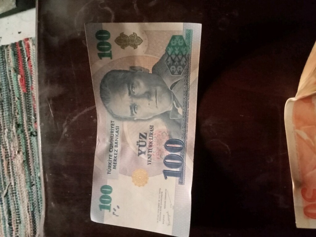 koleksiyonluk eski YTL paralar - 8