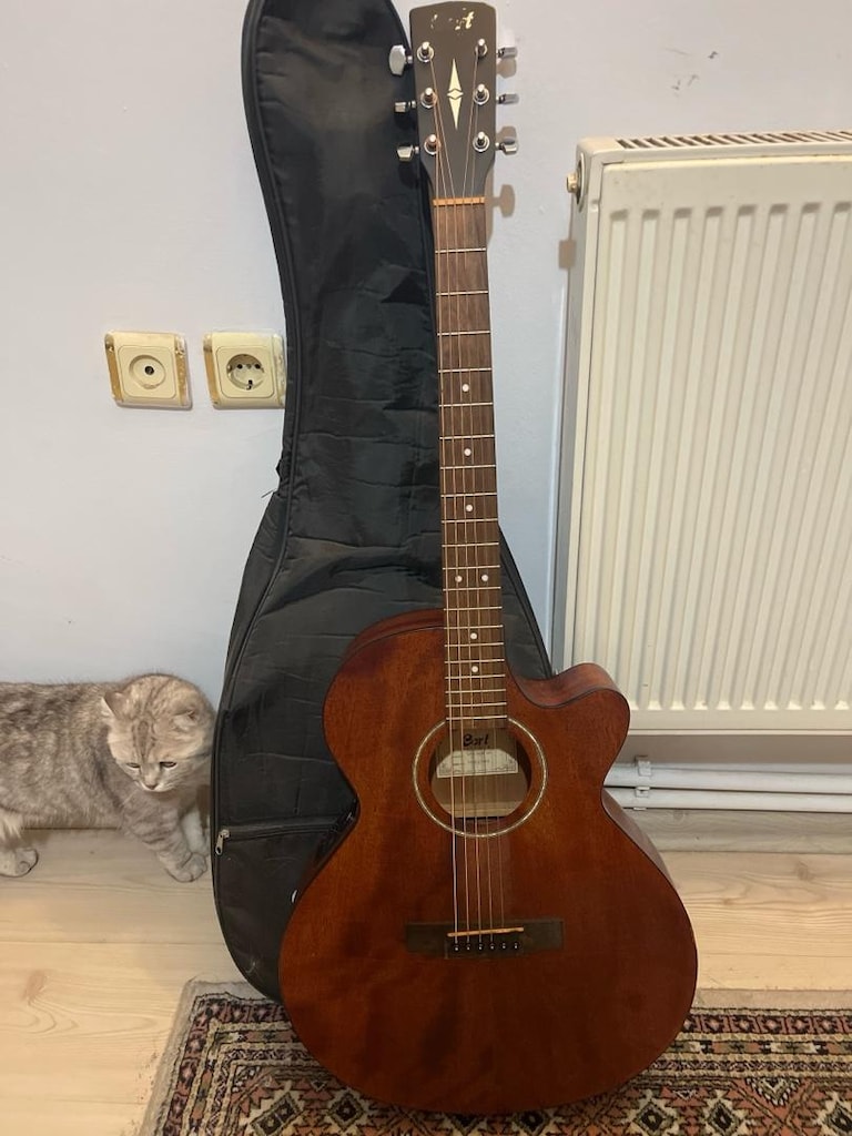 cort akustik gitar