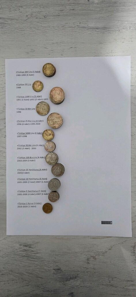 105 Adet Türkiye Eski Madeni Para Koleksiyonu – 1961-2019 - 4