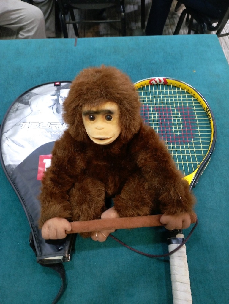tenis raketi yetişkinler için - 3