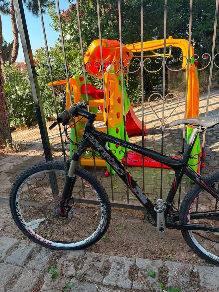 Karbon Dağ bisikleti - 2