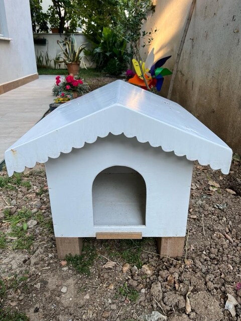 Kedi,köpek kulübesi