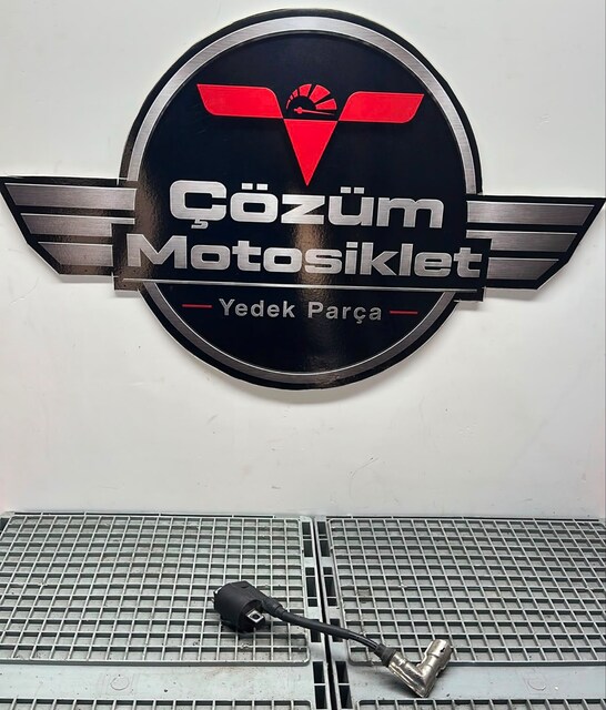 BAYBERRY ATEŞLEME BEYNİ