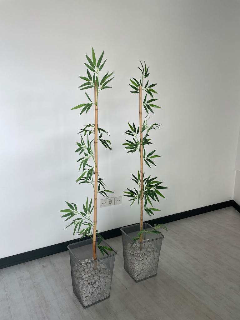 KLAS OFİS ÜSKÜDAR YAPAY BAMBU ÇİÇEKLİK İKİNCİ EL - 2