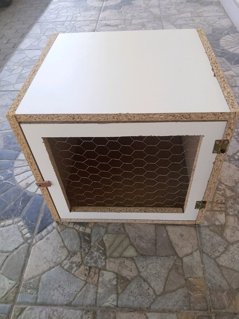 es hane salma kafes - 3