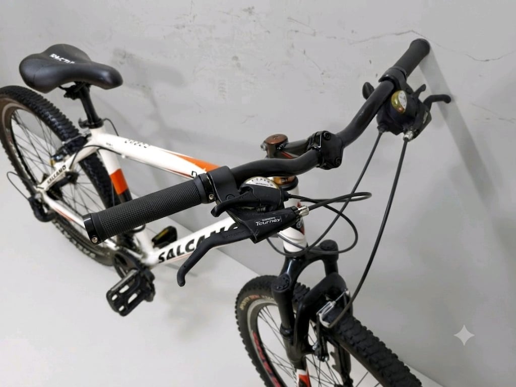 Salcano ng 650 alüminyum kadro 26 jant 21 vites - 6
