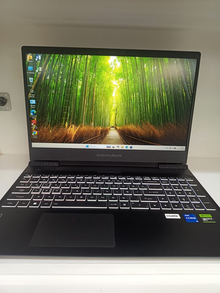 EXCALİBUR G770 GAMİNG İ5 12450H İŞLEMCİ + 3050 4GB EKRAN KARTI - 11