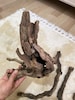 Akvaryuma Hazır Asma Kökü - Spider Wood - 3 Kez Kaynatıldı, Direk Bata - 5