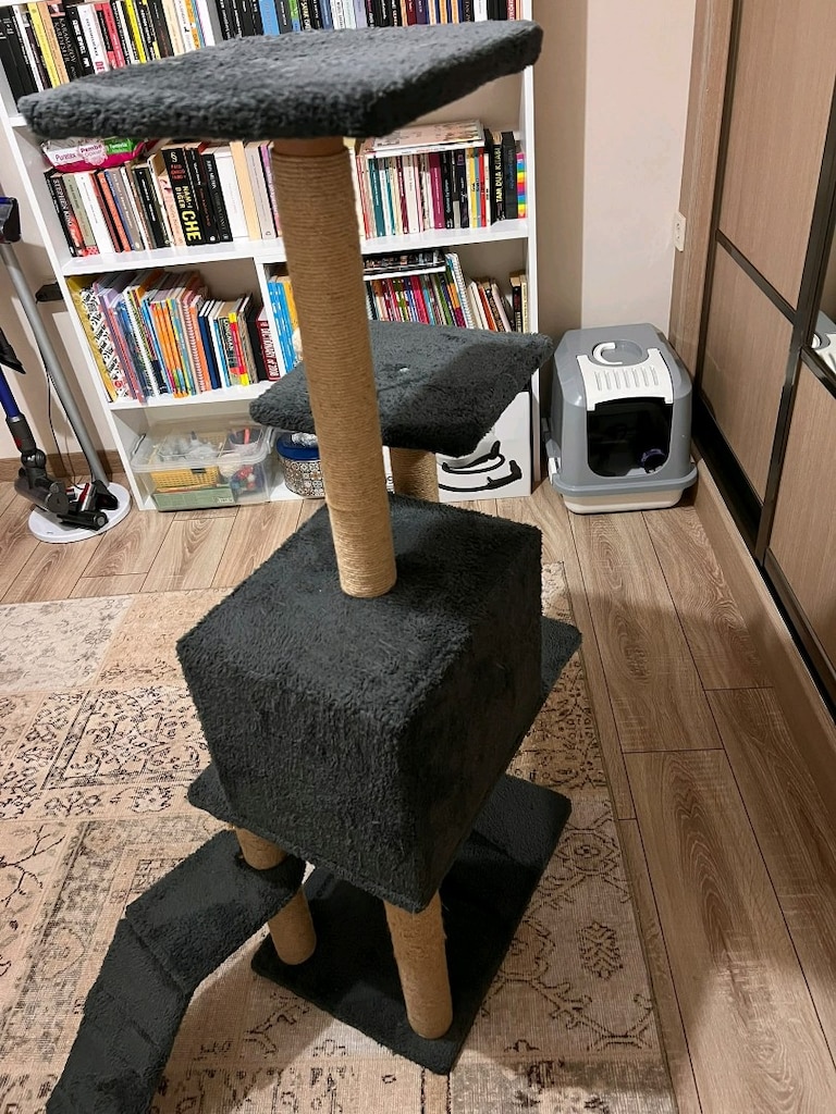 Kedi evi - 4