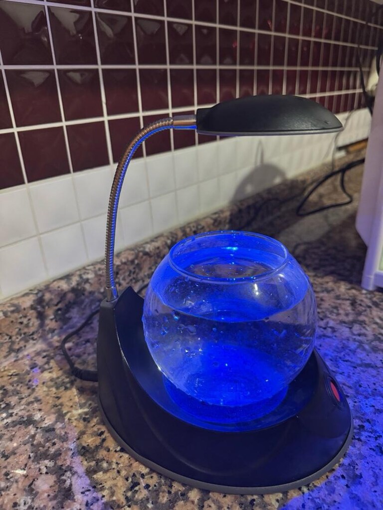 LED Işıklı Dekoratif Akvaryum Fanusu - 3
