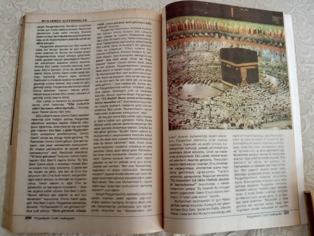 PEYGAMBERLER TARİHİ ANSİKLOPEDİSİ - 12