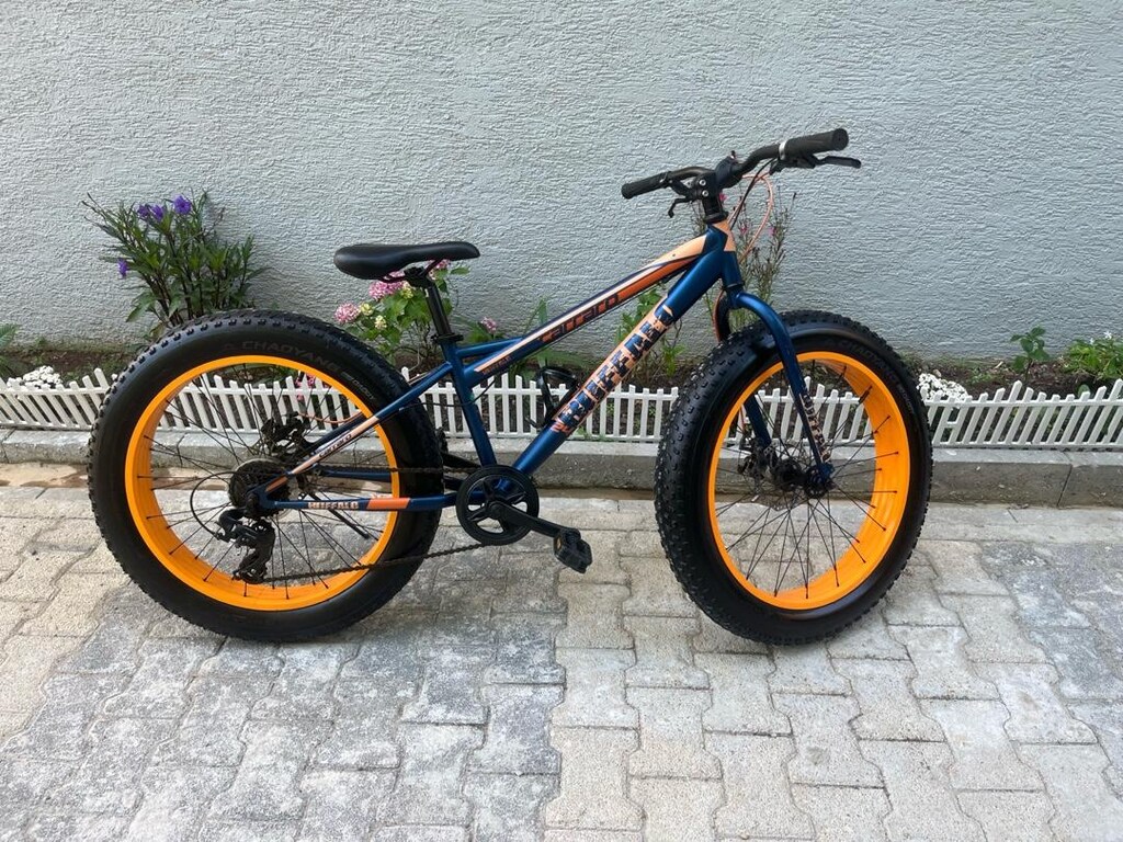 SATLIK CARRARO BUFFALO - 2