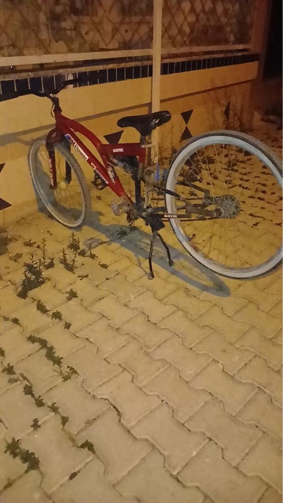 basık bisiklet - 6