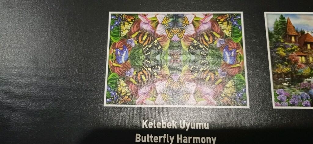 1000 parça puzzle - 2