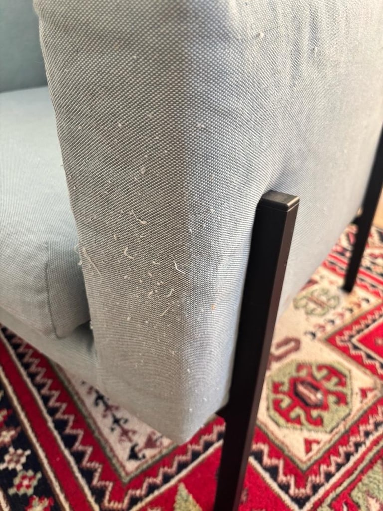 Ikea koarp sersi berjer, açık mavi - 6