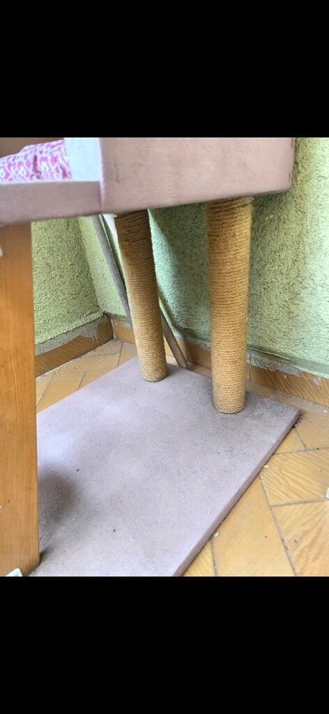 kedi evi - 2