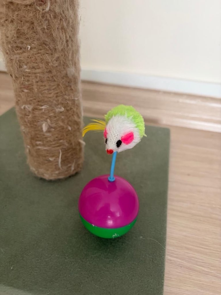 kedi yuvası, tırmalama tahtası ve oyuncaklar - 2