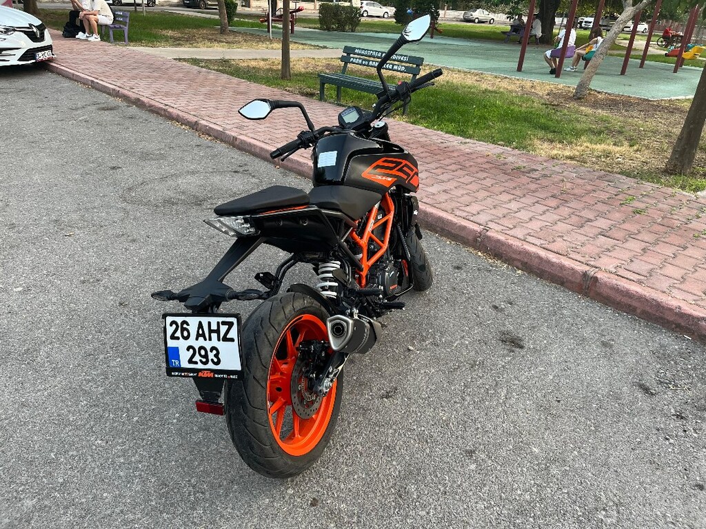 Temiz Duke 250 - 2