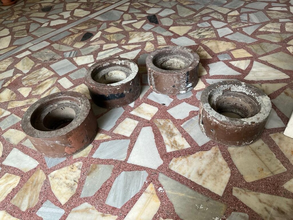 Çiçek Büyük Ağaç Ligustrum Kurtbağrı (Çit bitkisi/dekoratif) - 12