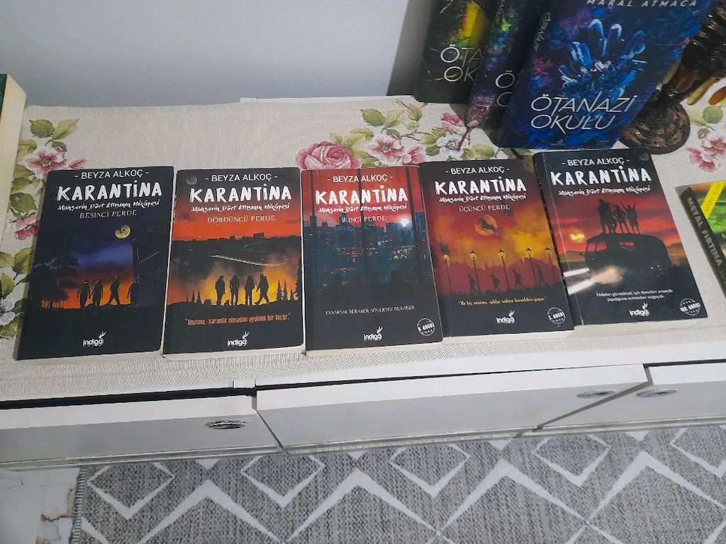 Beyza alkoçl karantina serisi - 4