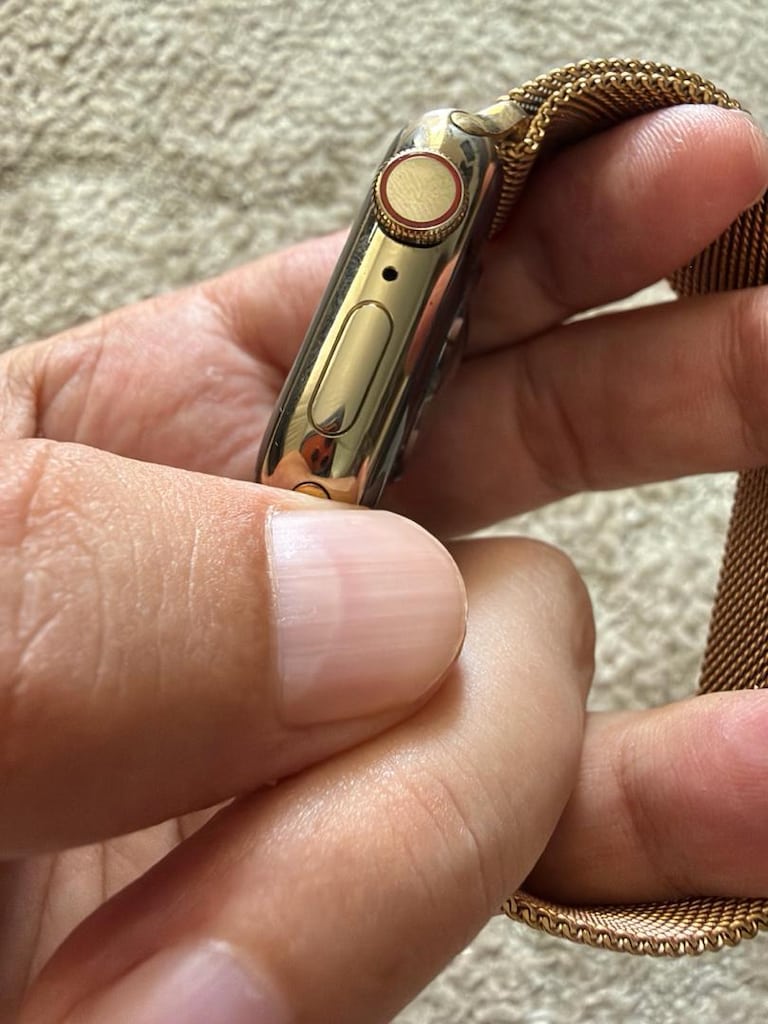 Apple Watch 9. seri çelik kasa cellular Türkiye - 2