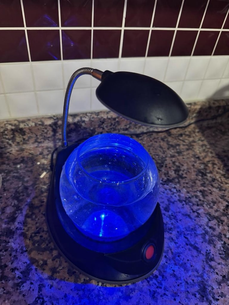 LED Işıklı Dekoratif Akvaryum Fanusu - 6
