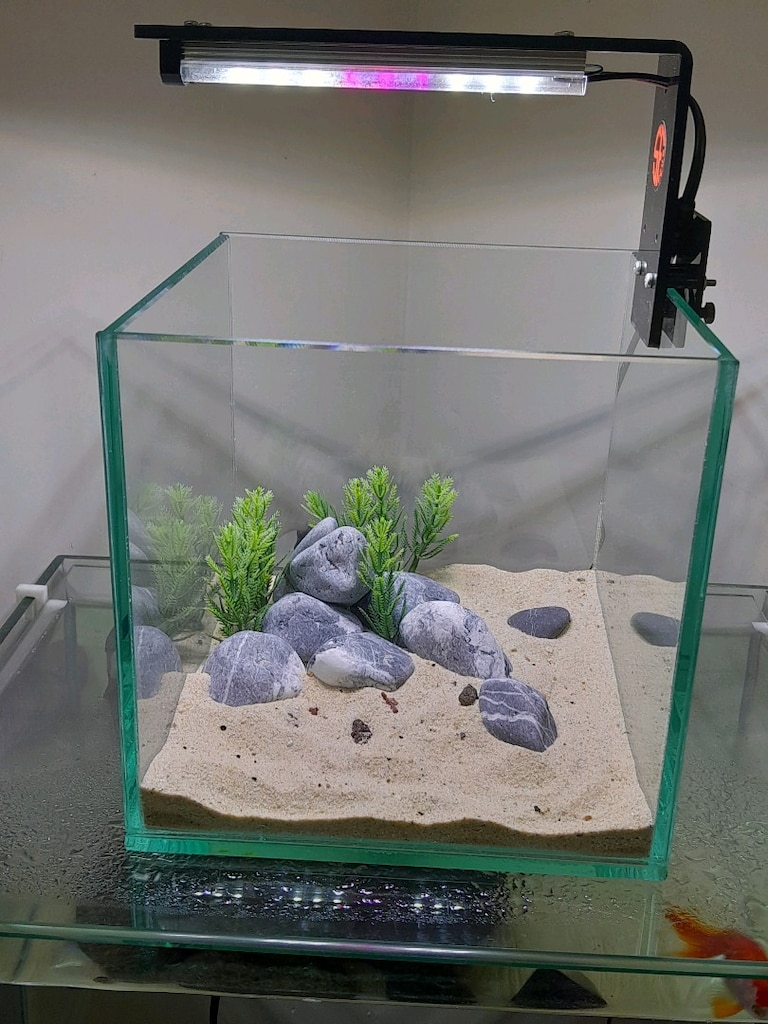 nano akvaryum mini 20x20x20 clear - 5