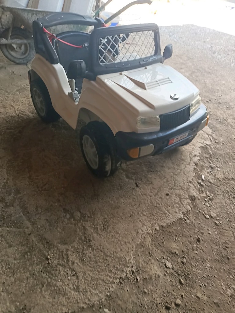 12 volt panter - 5