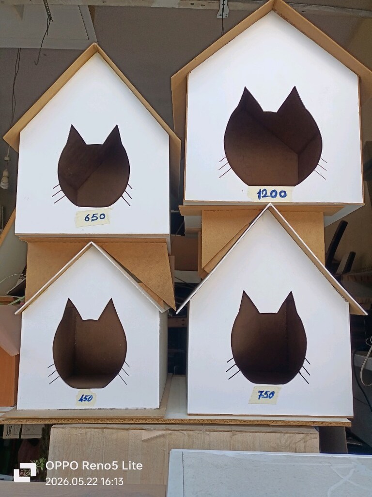 Kedi Evi - 6