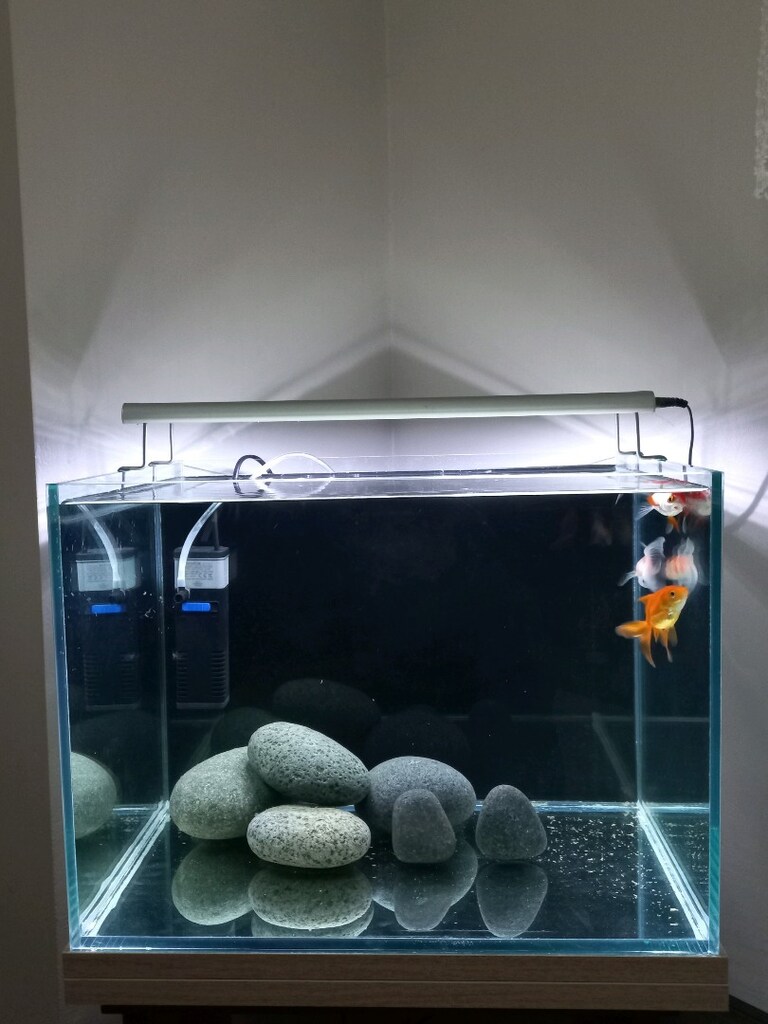 nano akvaryum set 40x30x30 - 2
