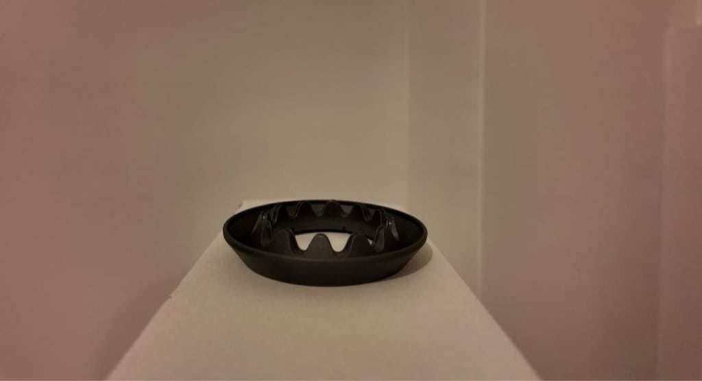 Dyson supersonic ve Dyson Corrale - 15