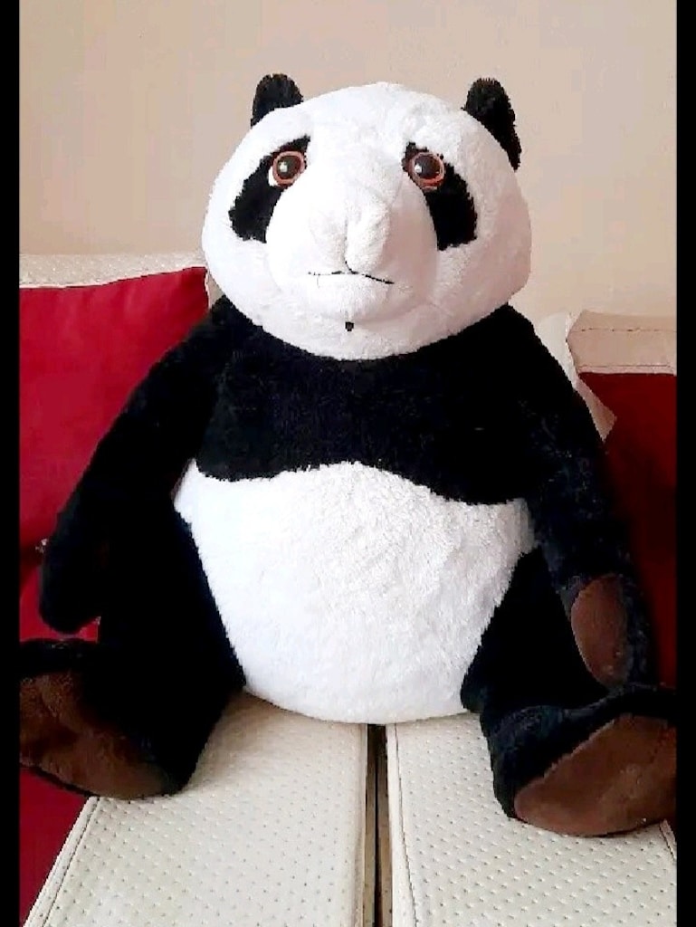 Panda Ayıcık