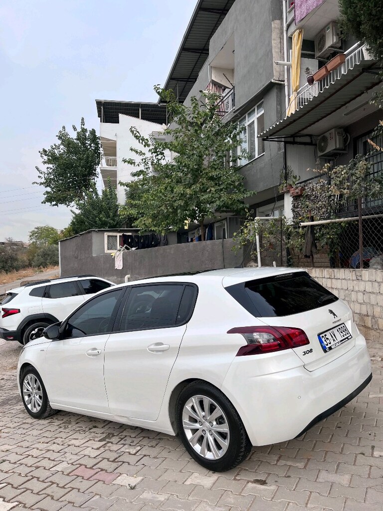 temiz 308 - 2