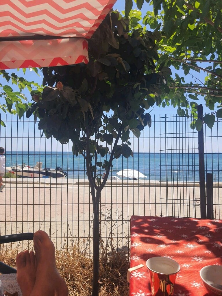kamp yerinde kullanıma hazır dayalı döşeli karavan avantajlı - 2