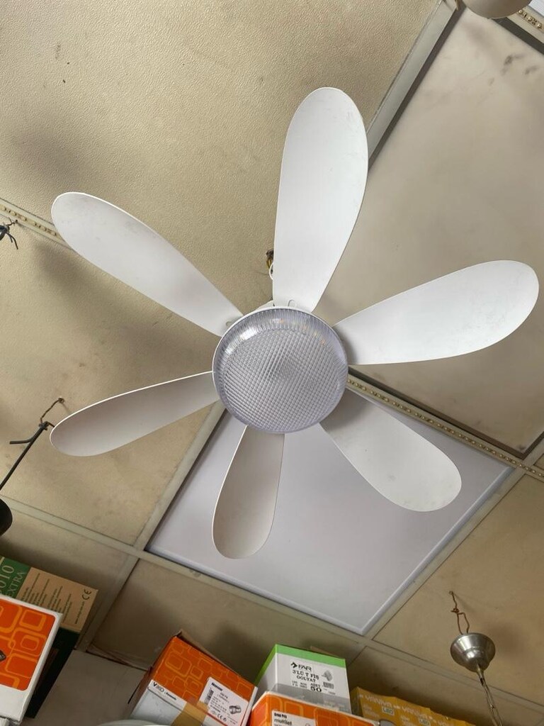 Ledli Fan - 2