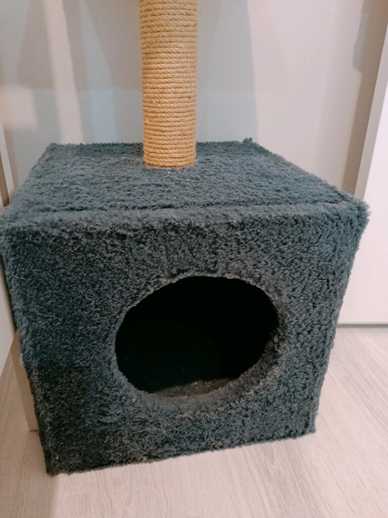 kedi evi