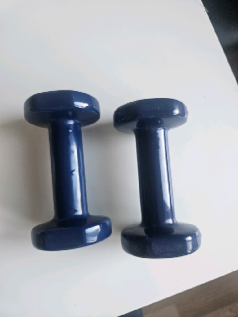 DECATHLON 2KG DAMBIL - 2
